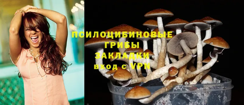 продажа наркотиков  Дудинка  darknet какой сайт  Галлюциногенные грибы MAGIC MUSHROOMS 